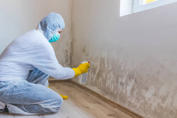 Licensed Bathroom Mold Removal service in Markham, VA - WQB Mold Removal