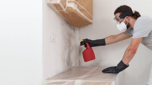 Professional Bathroom Mold Removal technician working in Markham, VA