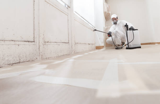 24/7 Emergency Bathroom Mold Removal experts in Markham, VA