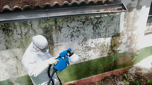 Top rated local Bathroom Mold Removal specialists in Markham, VA